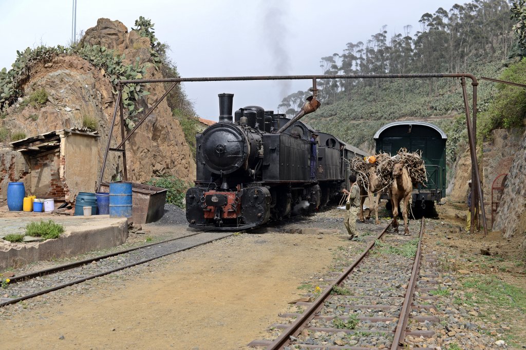 442 56 + 442 54 Arbaroba 20.12.2012