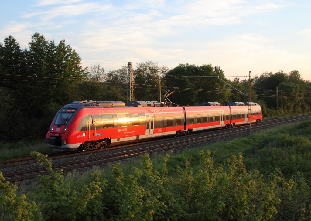 442 607 DB bei Trieb am 13.06.2013.