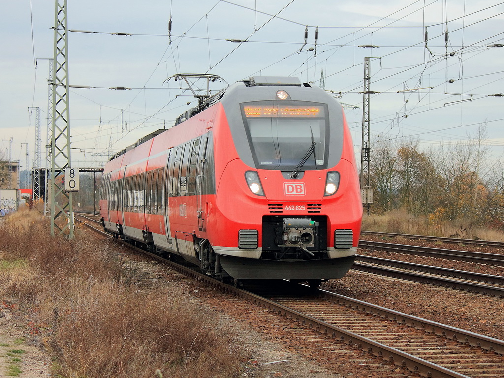 442 625 und 442 125 als RB 22 (RB 28820) von Potsdam Hauptbahnhof  nach Berlin Sch�nefeld Flughafen bei der Ausfahrt aus den Bahnhof Saarmund am 10. November 2012.