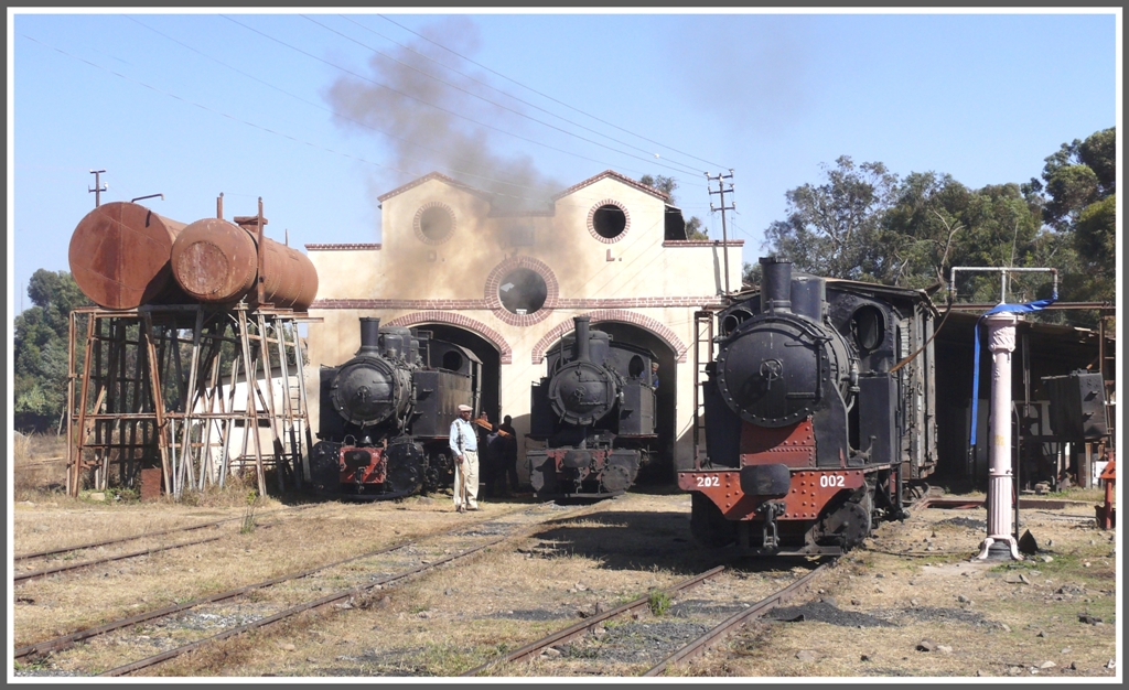 442.56, 440.008 und 202.002 vor dem Lokdepot in Asmara. (31.01.2012)