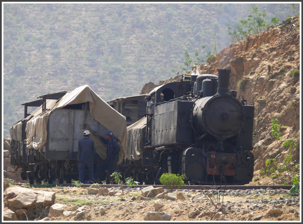 442.56 rangiert in Lessa die Gterwagen in die gewnschte Reihenfolge. (01.02.2012)