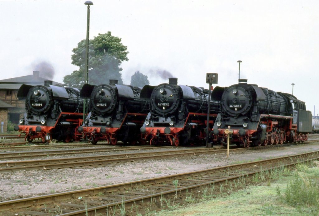 44er - vier Loks in Paradeaufstellung nebeneinander, Stafurt, Juni 1992