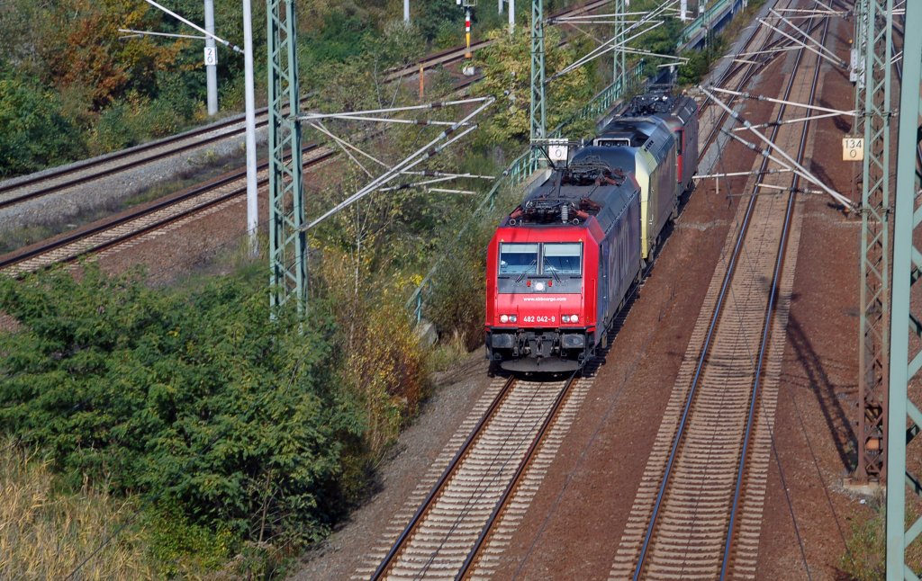 482 042 der SBB Cargo zieht am 17.10.10 einen ER 20 sowie eine Re 4/4 durch Holzweiig Richtung Halle(S).