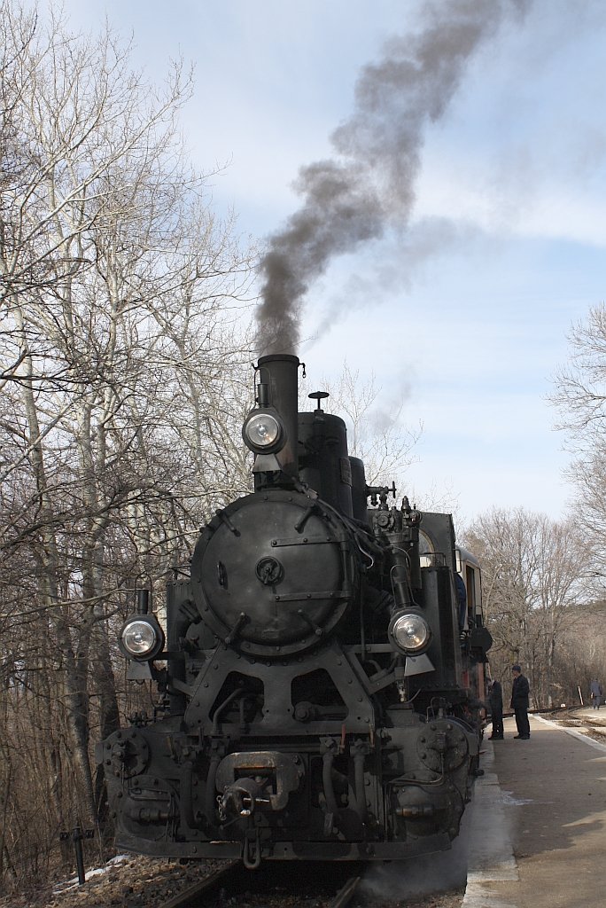 490.039 wartet am 27.Feb.2010 mit Zug 363 im Bf. Janos-Hegy auf die Kreuzung mit Zug 136.