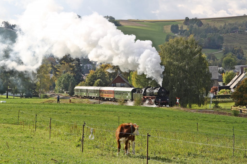 50 3616-5 am 07.10.2012 im Ortsgebiet von Raschau. Das Kalb fand die Lok nicht sonderlich interessant. 

