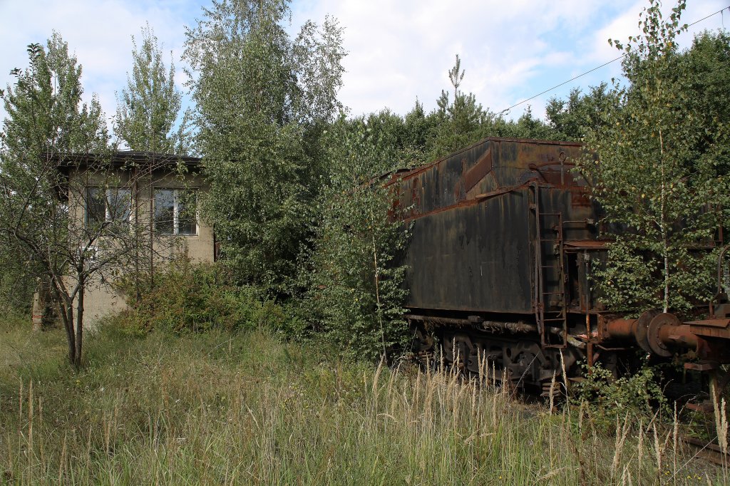 50 3631 am 04.09.2010 im ehemaligen BW Falkenberg oberer Bahnhof. Die Sammlung war dieses Jahr leider nur an diesem einem Wochenende zugnglich.

