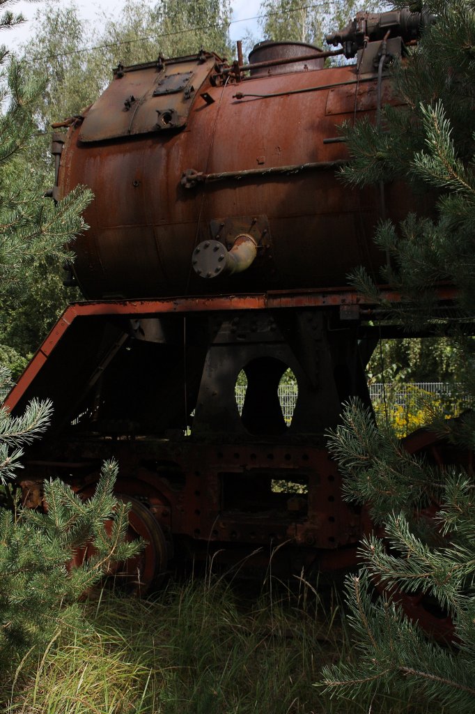 50 3693 am 04.09.2010 im ehemaligen BW Falkenberg oberer Bahnhof. Die Sammlung war dieses Jahr leider nur an diesem einem Wochenende zugnglich.

