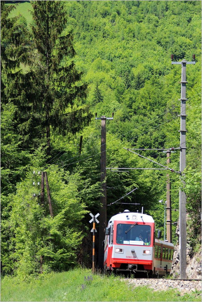 5090 014 + ein weiterer fahren als R 6827 von St. Plten Hbf nach Laubenbachmhle. Schwarzenbach, 19.5.12