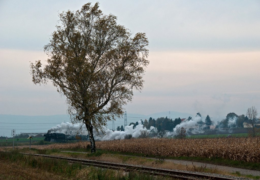 52 100 fhrt an einem trben, windigen Herbsttag mit REX 7396 von Korneuburg nach Ernstbrunn. Die Aufnahme entstand am 23.10.2010 kurz nach Stetten.