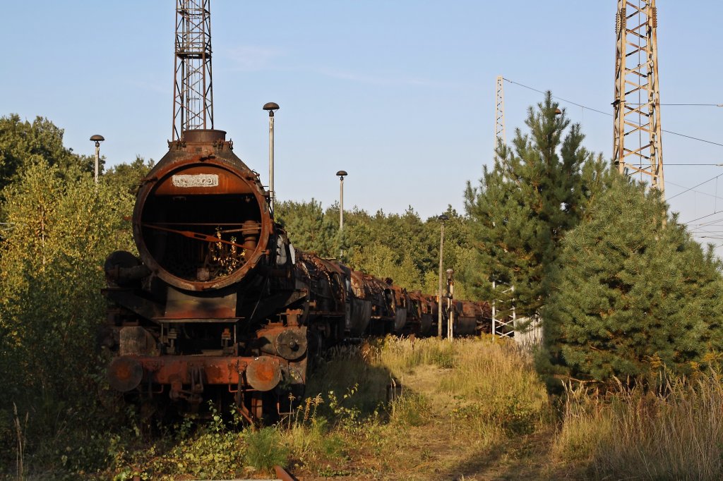 52 8009 am 16.09.2012 im Bw Falkenberg Oberer Bahnhof. Das Gelnde dient nur zur Aufbewahrung von Fahrzeugen und ist nur an wenigen Tagen im Jahr zugnglich. 
