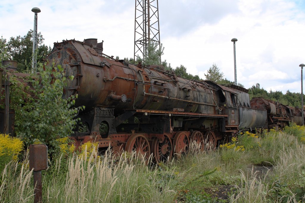 52 8100 total zugewachsen am 04.09.2010 im ehemaligen BW Falkenberg oberer Bahnhof. Die Sammlung war dieses Jahr leider nur an diesem einem Wochenende zugnglich. 

