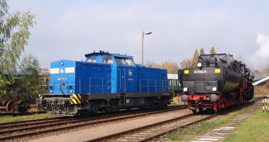 52 8154-8 an der abgestellten PRESS 293 016-3 vorbeifahrend, anllich der 5.Leipziger Eisenbahntage am 24.11.2009