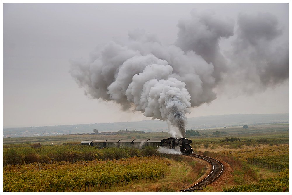 52.4984 mit ihrem Fotosonderzug R 16612 von Retz nach Drosendorf am 22.10.2009 in den Weinbergen nach Retz aufgenommen.