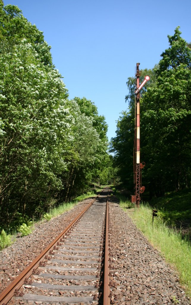 5.6.2010 Sternebeck. Zweifelhaftes Signalbild am Einfahrsignal des Museumsbahnhofes. 
