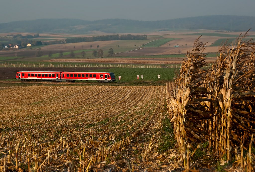 628 229 der Westfrankenbahn, unterwegs auf der Landesbahn in Niedersterreich. REX 7389, in der Morgensonne zwischen  Harmannsdorf-Rckersdorf und Mollmannsdorf. Das Foto enstand am 30.10.2010.