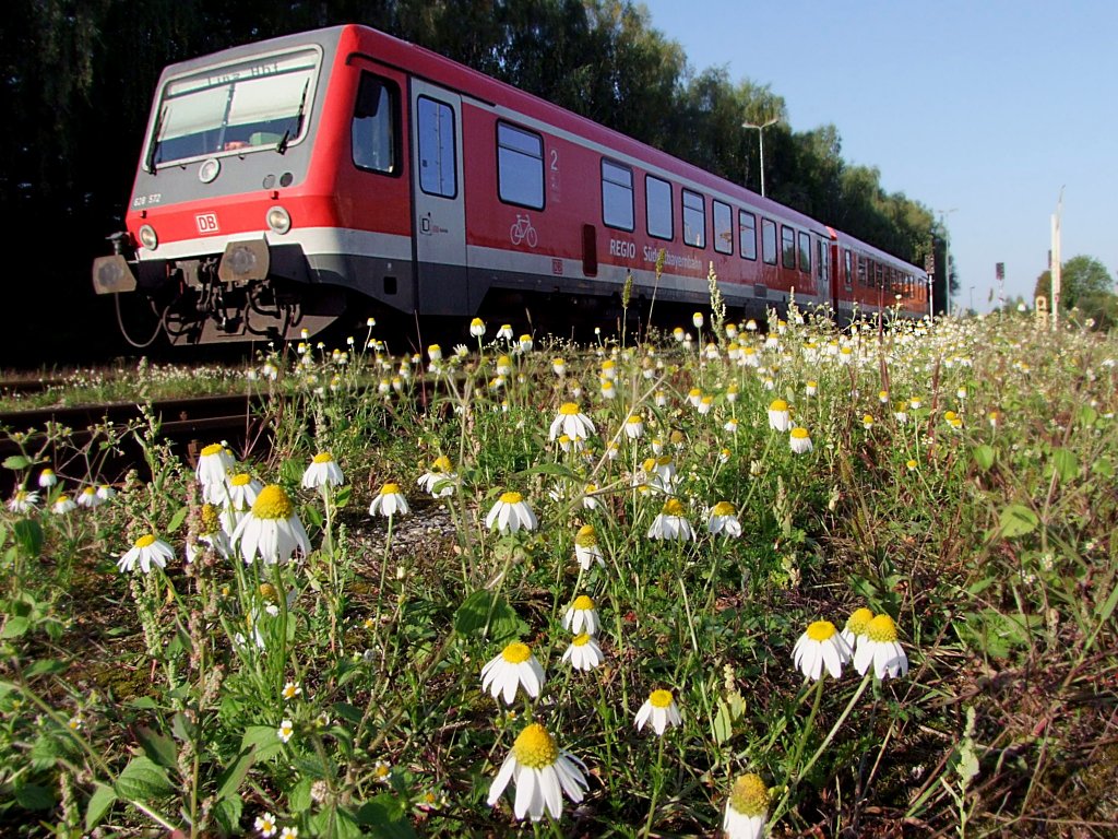 628-572 nhert sich als REX5993 auf seiner Fahrt nach Linz/Donau dem Bahnhof Ried i.I.;100919