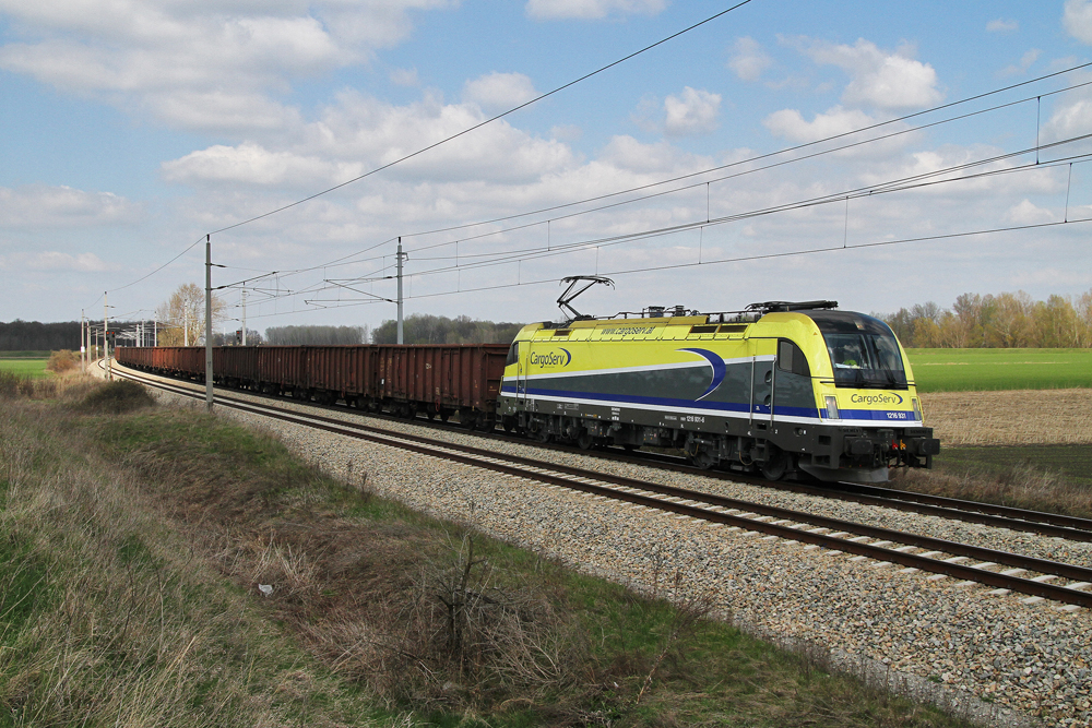 6.4.10 Zwecks Bauarbeiten auf der Summerauer Bahn werden derzeit die meisten Zge ber die Grenzbahnhfe Gmnd und Breclav umgeleitet. So auch die CargoServ Leistungen. Hier bespannt die 1216 931 den SGAG 46181 von Breclav nach Linz Stahlwerke kurz nach Drnkrut.
