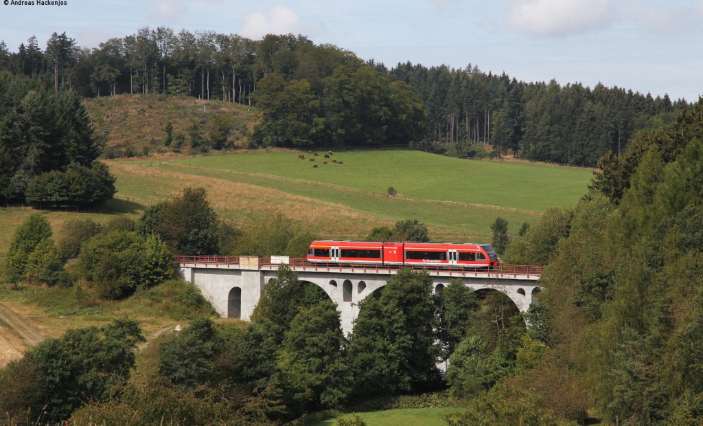 646 208-5 als RE 23045 (Kassel-Wilhelmshhe-Willingen) auf dem Viadukt bei Rhena 2.9.12