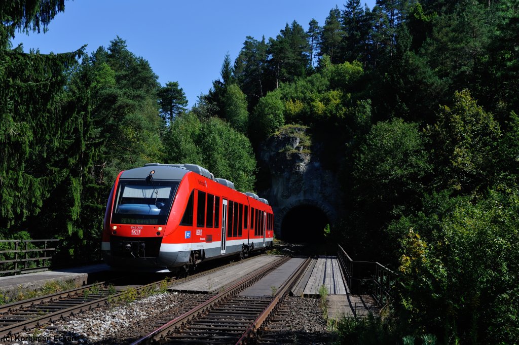 648 306 mit RB 58558 nach Nrnberg Hbf bei Velden (b. Hersbruck), 18.08.2012