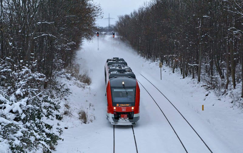 648 355 am 3.01.2010 als RB nach Lbeck Hbf bei Groenbrode.