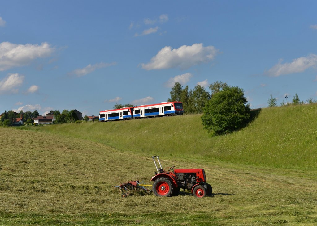 650 563 (VT 63) + 650 565 (VT 65) als RB nach Bayerisch Eisenstein am 16.06.2013 bei Triefenried.