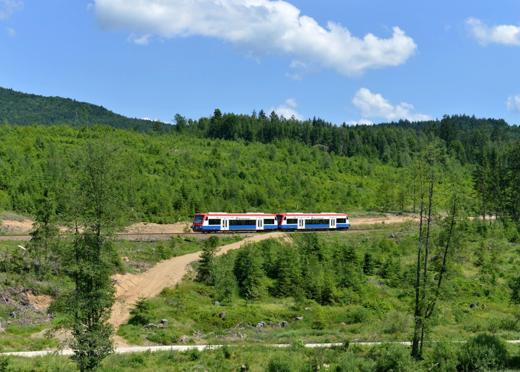 650 563 (VT 63) + 650 565 (VT 65) als RB nach Zwiesel am 21.06.2013 bei Frauenau.