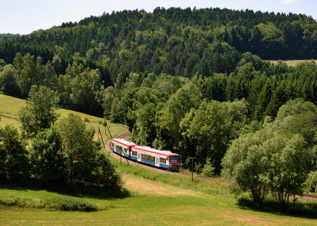 650 563 (VT 63) + 650 565 (VT 65) als RB nach Zwiesel am 21.06.2013 zwischen Grafenau und Rosenau.