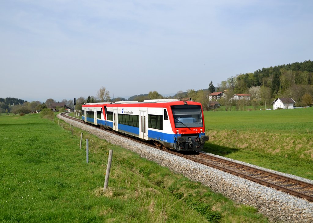 650 565 (VT 65) + 650 563 (VT 63) als RB nach Plattling am 01.05.2013 bei Gotteszell.