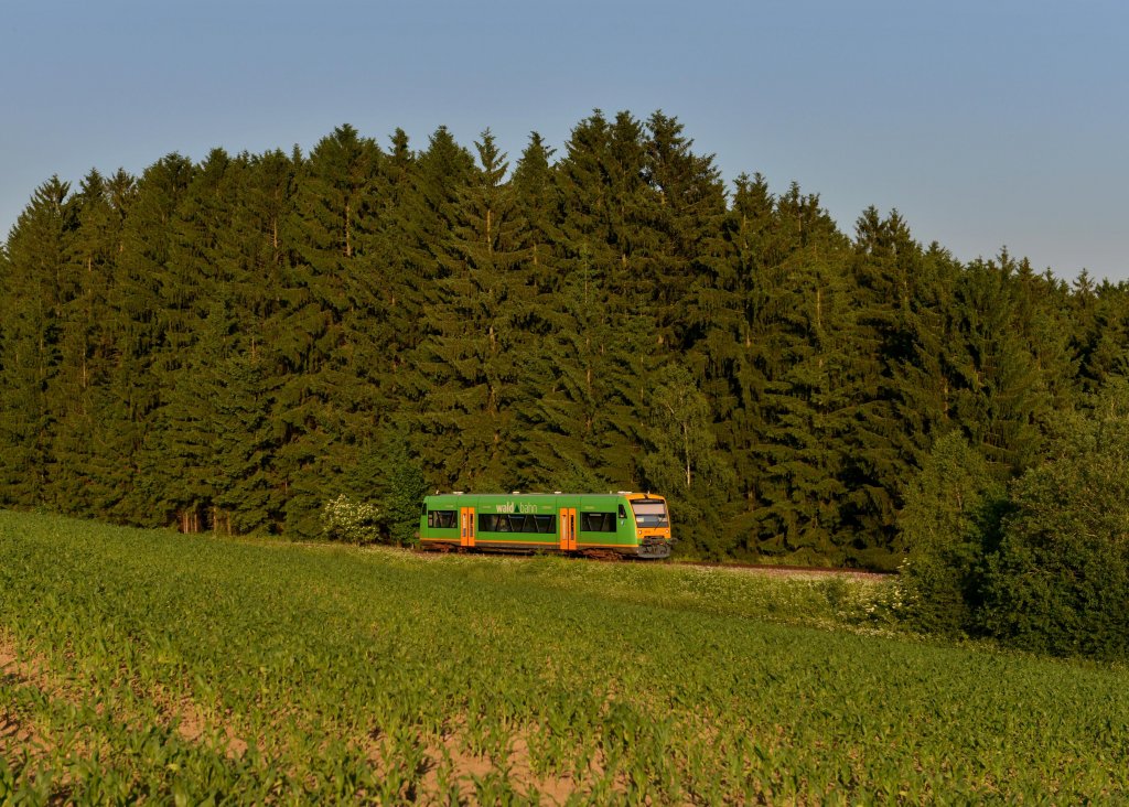 650 651 (VT 16) als RB am 20.06.2013 bei Rohrbach.