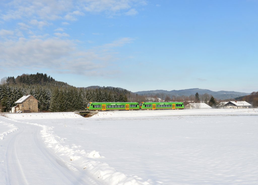 650 653 (VT 18) + 650 652 (VT 17) als RB nach Plattling am 08.02.2013 bei Gotteszell.