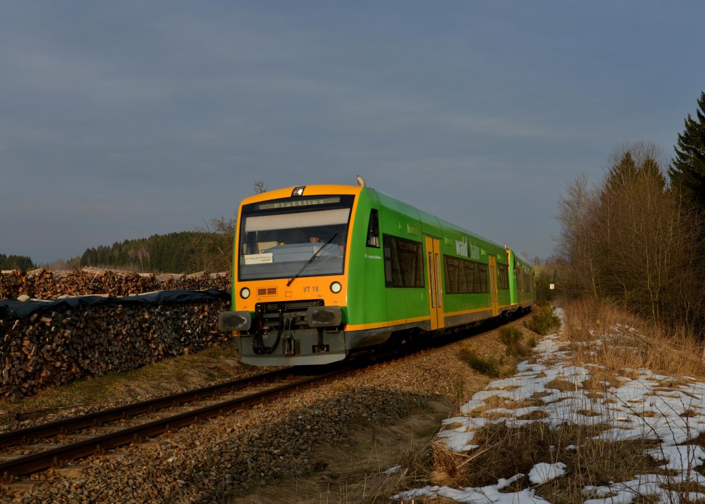 650 653 (VT 18) + 650 655 (VT 20) als RB nach Plattling am 23.03.2013 bei Rohrbach.