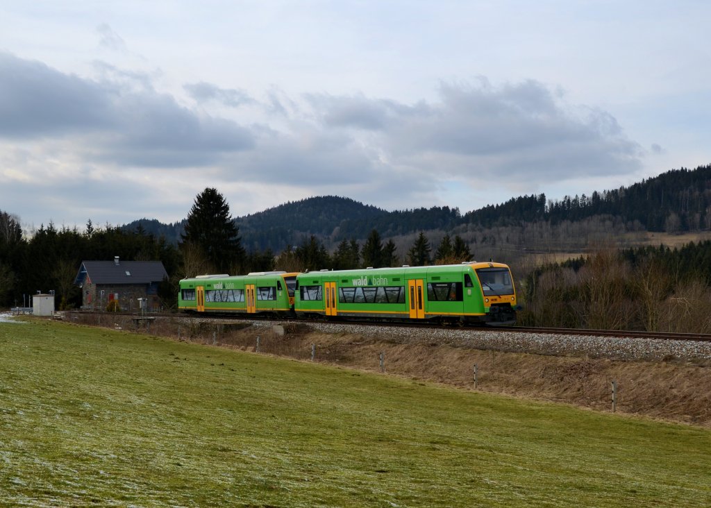 650 654 (VT 19) + 650 663 (VT 28) als RB nach Bayerisch Eisenstein am 14.03.2013 bei Triefenried.