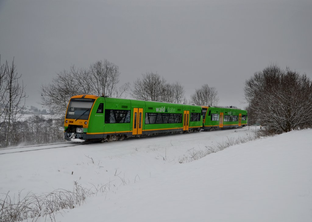 650 655 (VT 20) + 650 662 (VT 27) als RB nach Bayerisch Eisenstein am 17.01.2013 bei Triefenried.