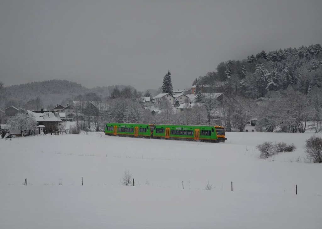 650 659 (VT 24) + 650 652 (VT 17) als RB nach Plattling am 17.01.2013 bei Gotteszell.