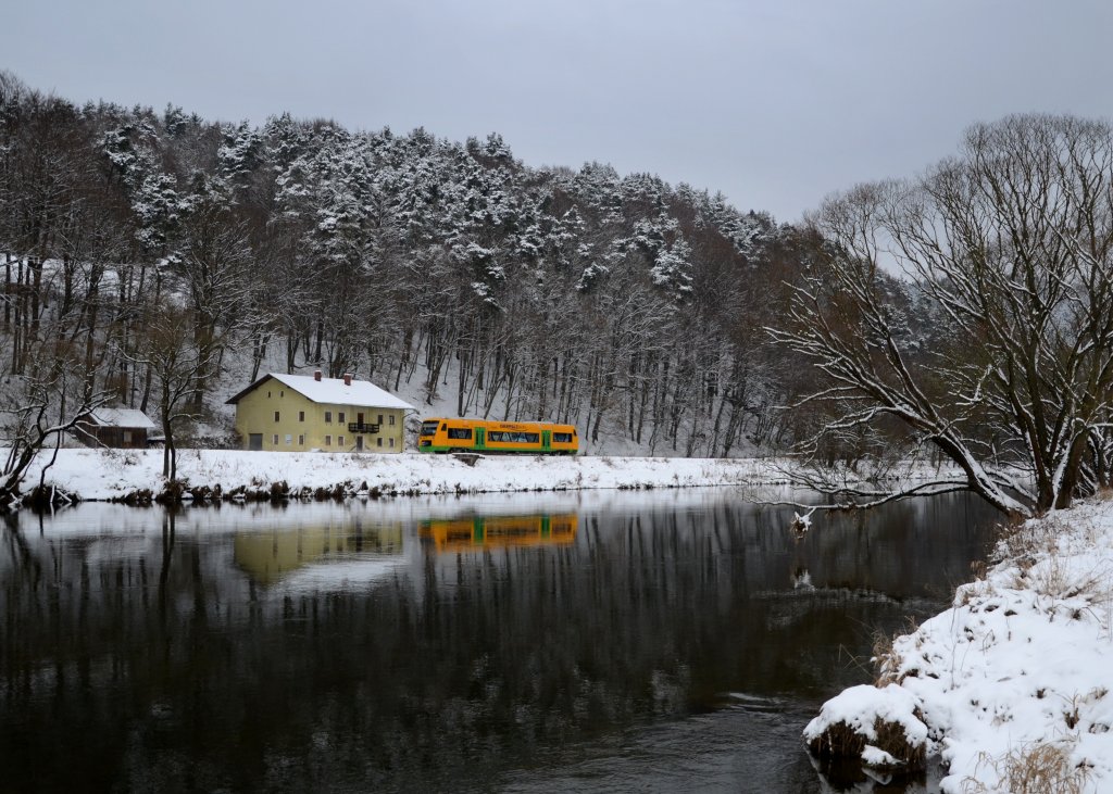 650 666 (VT 33) nach Lam am 18.01.2013 bei Miltach.