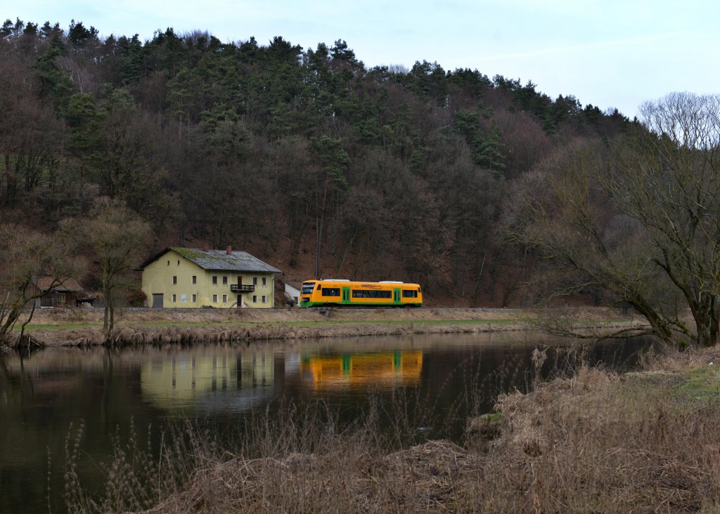 650 669 (VT 36) von der Oberpfalzbahn nach Lam am 13.01.2013 bei Miltach.