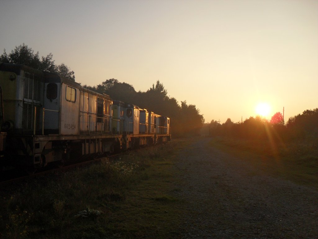 662413,662454 und 662424 beim herbstlichen Sonnenuntergang in Raeren.