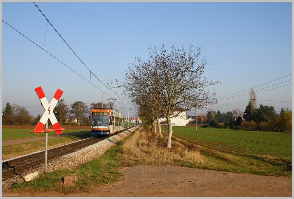 6MGT 2264 fhrt auf dem Heddesheimer Ast der berlandstraenbahnlinie 4 (einer Zweiglinie der frheren Oberrheinischen Eisenbahngesellschaft) Richtung Mannheim. Heddesheim, 21.11.11