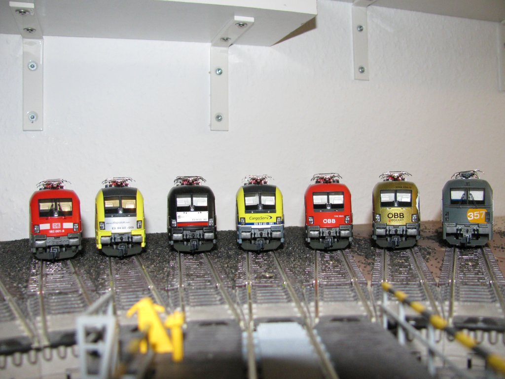 7 Stiere stehen hier am 28.05.2010 in meinem Depot abgestellt.