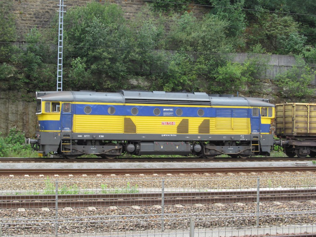 753 731-9 der AWT steht am 09. August 2012 mit einem Containerzug im Bahnhof Bad Schandau.