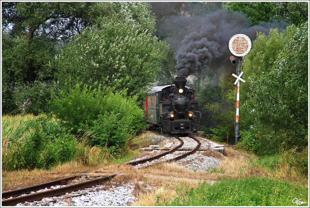 764.411R Model Resita Nr. 619 (ehemalige rumnische Waldbahnlokomotive) des Stainzer Flascherlzuges bei der Ausfahrt aus Preding. 
18.07.2010 
