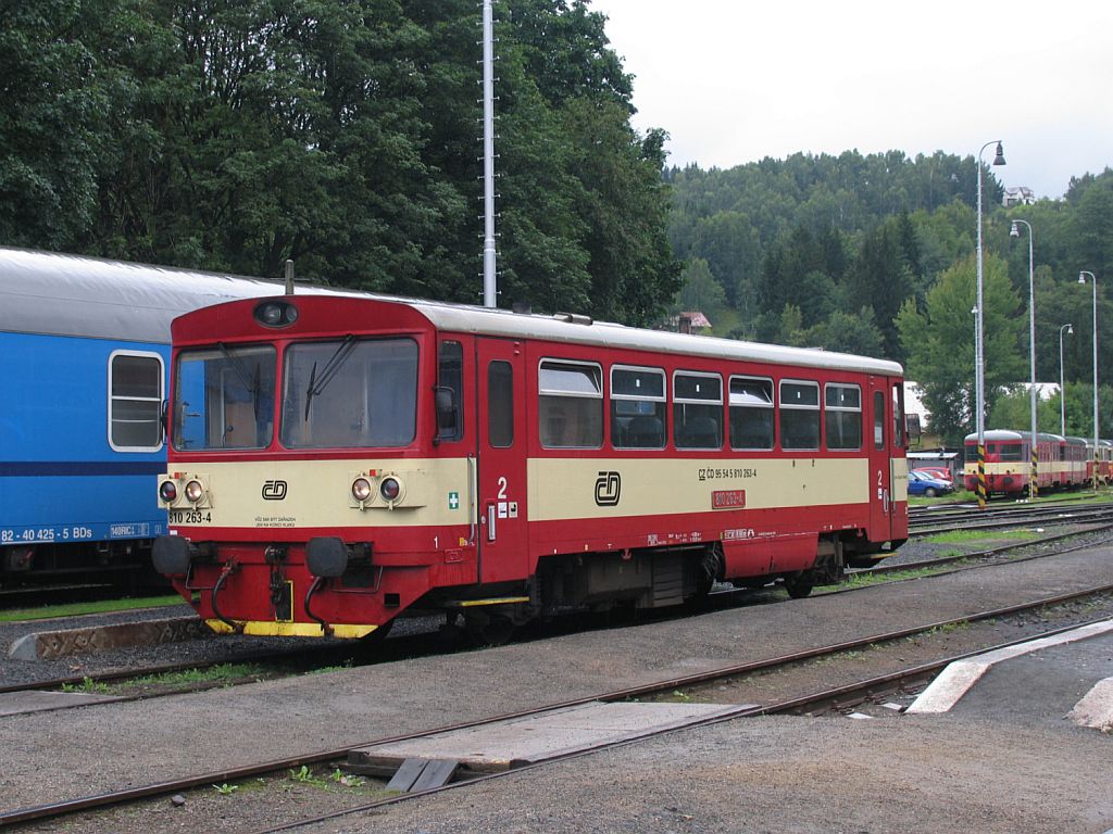 810 263-4 auf Bahnhof Tanvald am 7-8-2011.