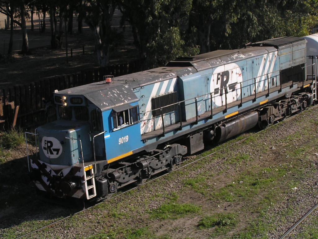 9019 der  Ferrosur Roca  zieht Getreidewaggons zu den Verschiffungsanlagen in Puerto Ingeniero White (Baha Blanca), 28.09.2006