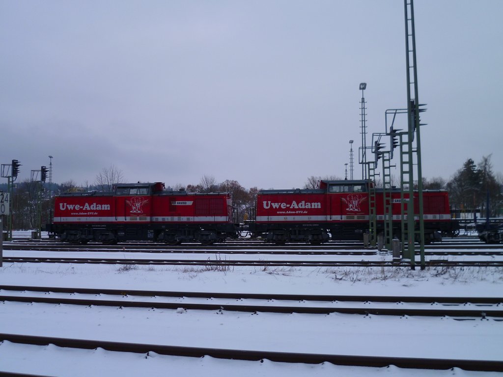 92 80 1202 364-6 D-BWESA (Rambo) und 92 80 1202 466-9 D-BWESA (Gauner) standen am 18.01.13 mit einem leeren Holzzug in Marktredwitz.