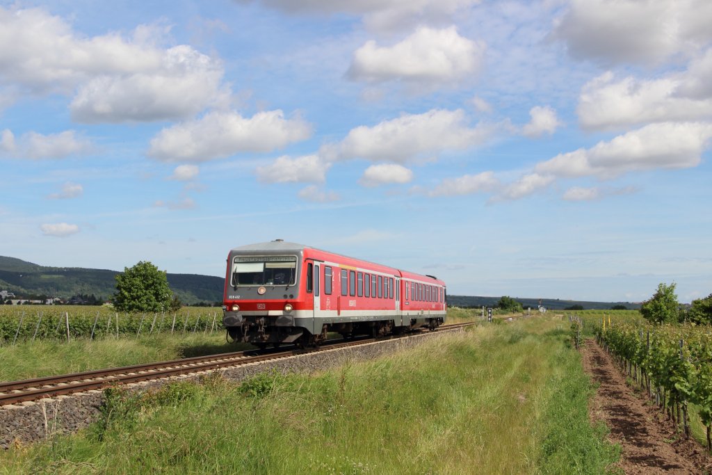 928 412-6 RB 28425 (Grnstadt - Neustadt (Weinstr) Hbf) bei Wachenheim (Pfalz) am 16.06.13
