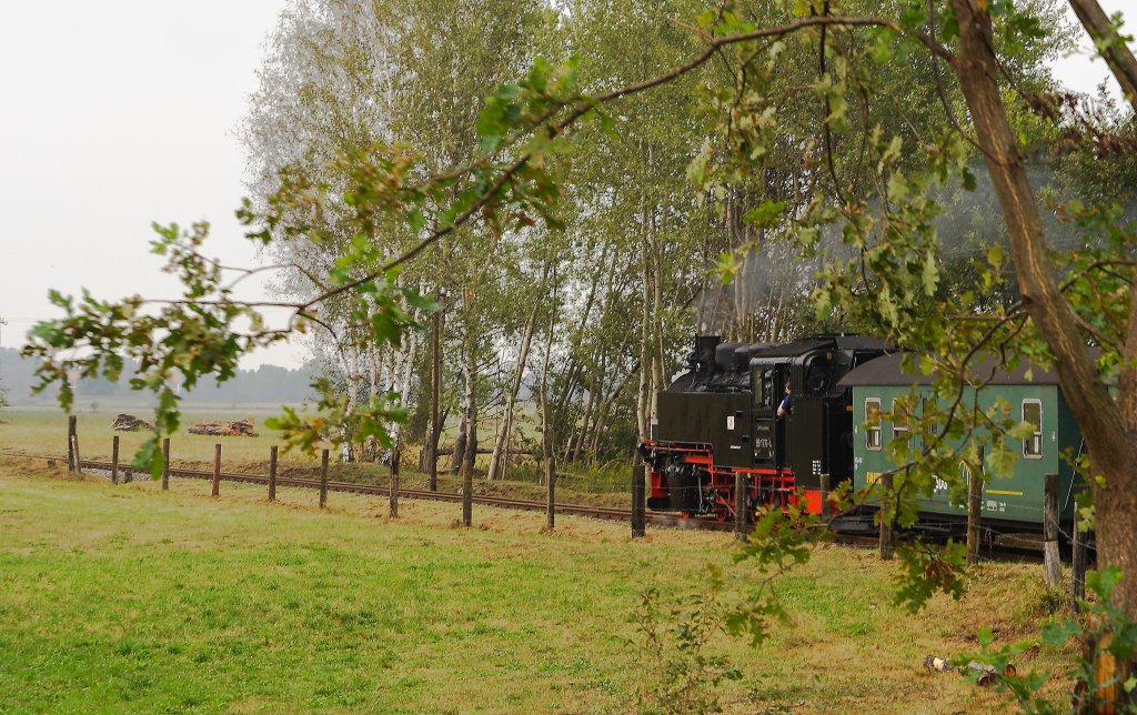 99 1777 ist mit P3008 am 31.08.2012 unterwegs nach Radeburg und hat vor wenigen Minuten den Bahnhof Moritzburg verlassen.