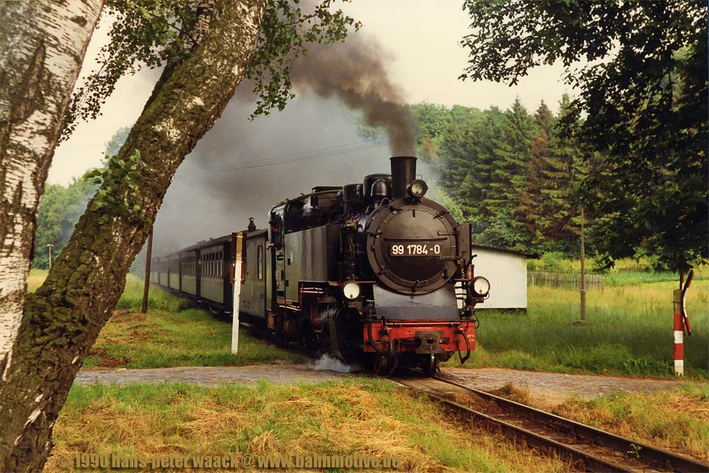 99 1784 verlsst mit ihrem Personenzug an einem herrlichen Juliabend des Jahres 1990 den Bahnhof Garftitz und wird gleich den Berg zum Jagdschloss Granitz angehen.