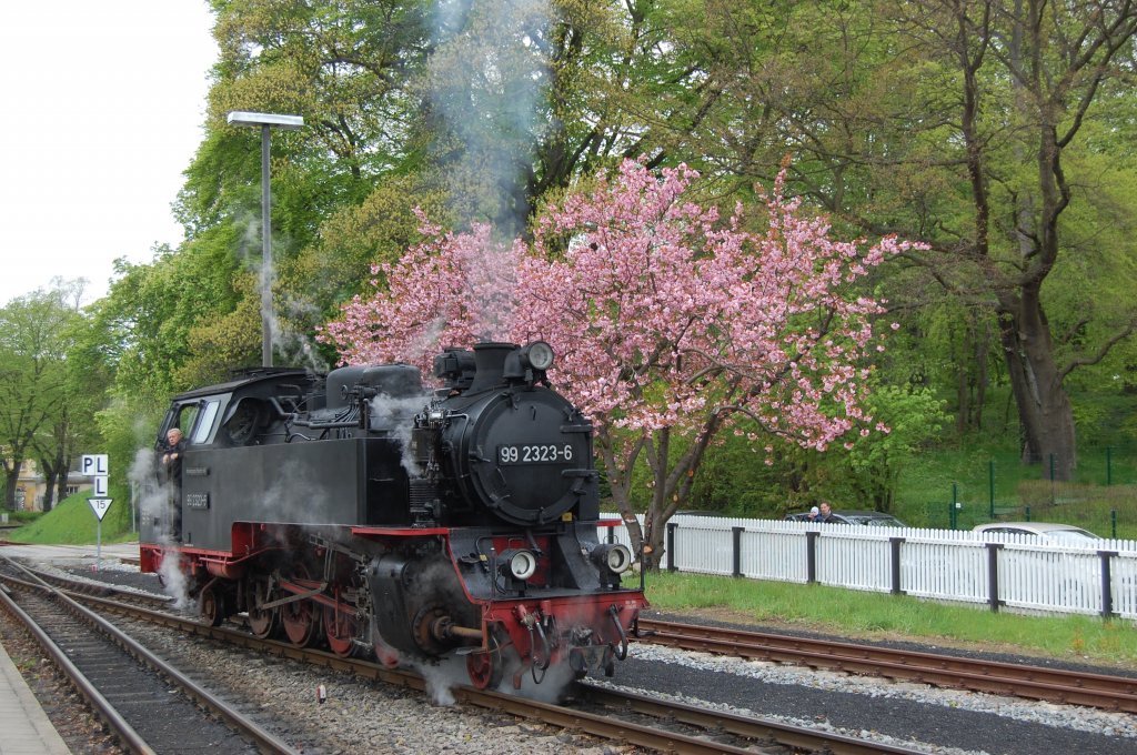 99 2323 beim Umsetzten in Bad Doberan - 08.05.2010
Wenigstens anhand der Bume kann man erahnen da  Frhling  ist...