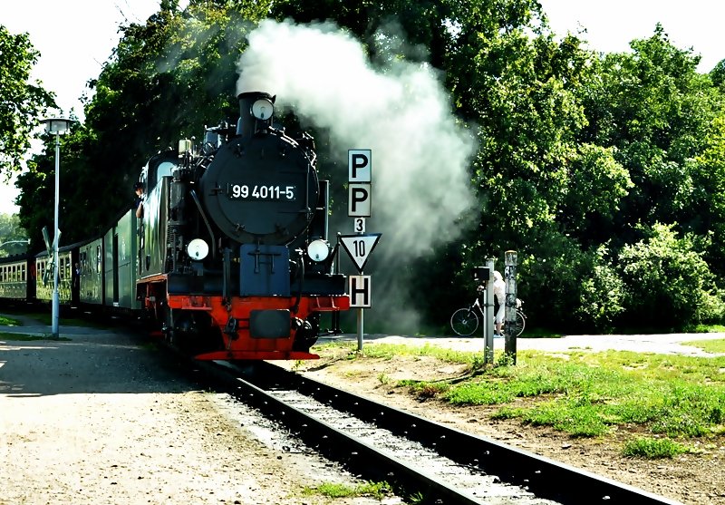 99 4011 bei der Einfahrt in den Bf Baabe auf der Insel Rgen am 05.08.09
