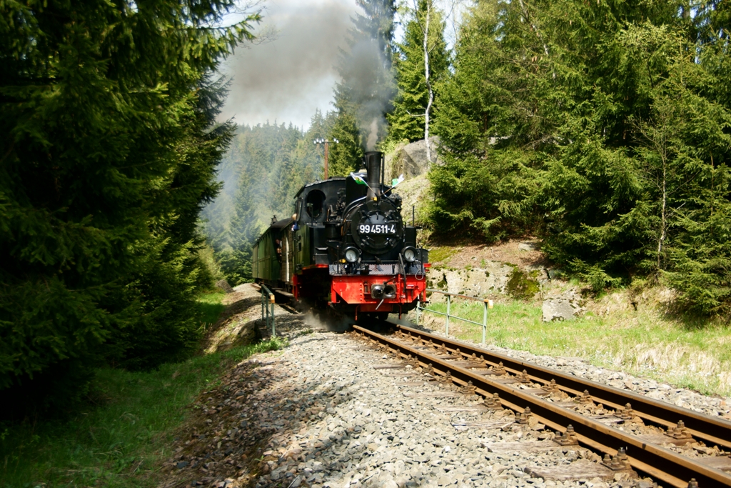 99 4511-4  Meppel  am Loreleyfelsen. Aufgenommen am 24.Mai 2010.
